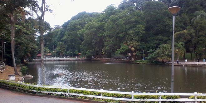 Parque Horto Florestal